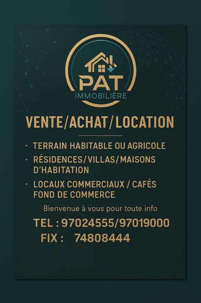 PAT IMMOBILIÈRE 