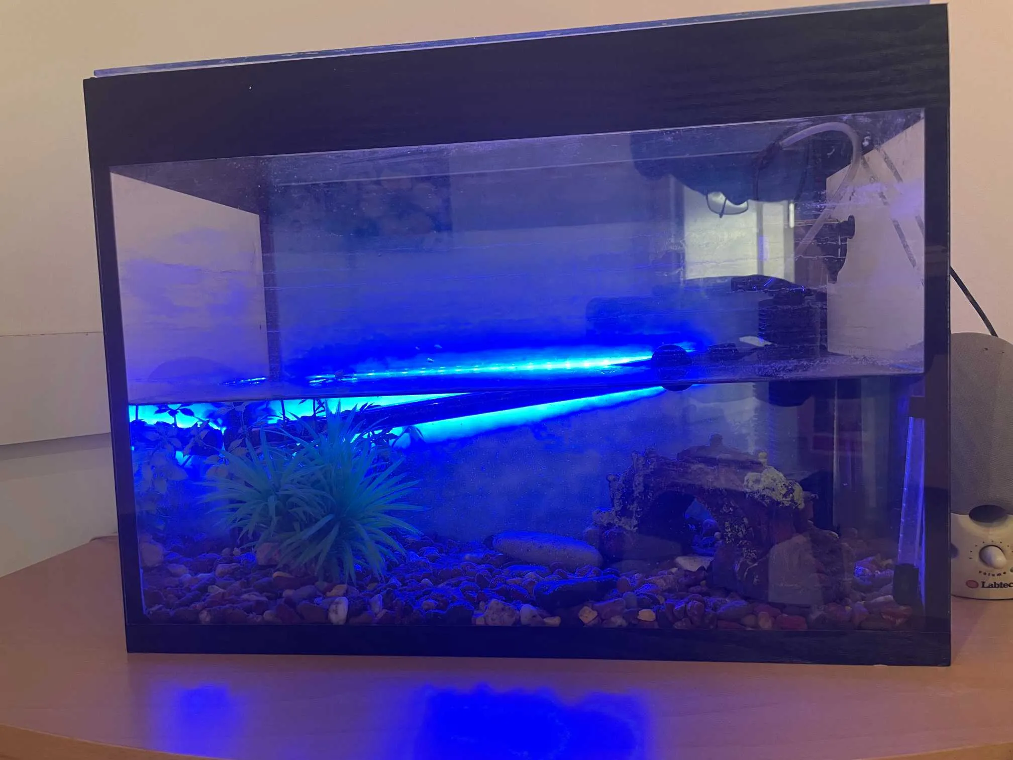 aquarium