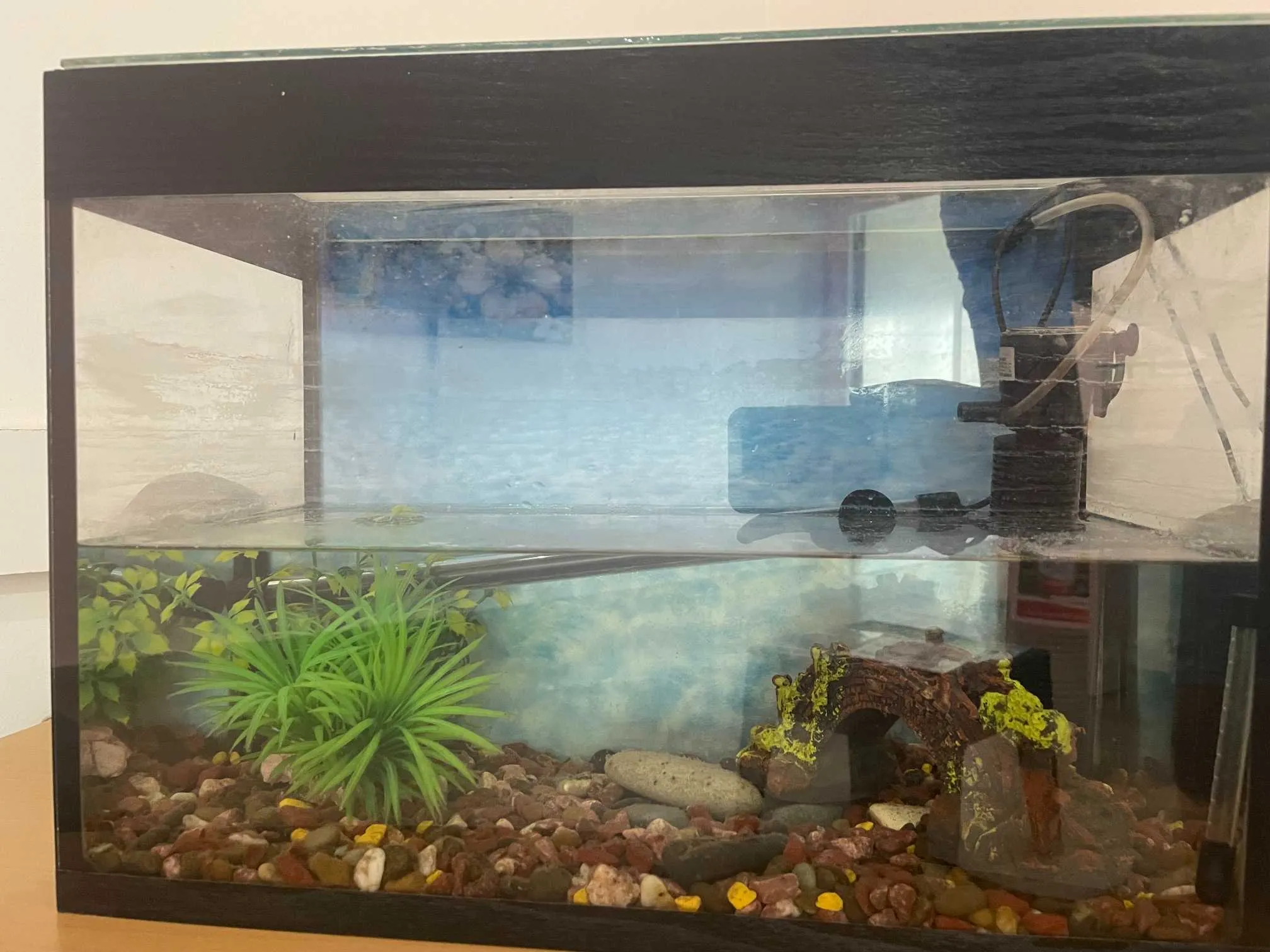 aquarium