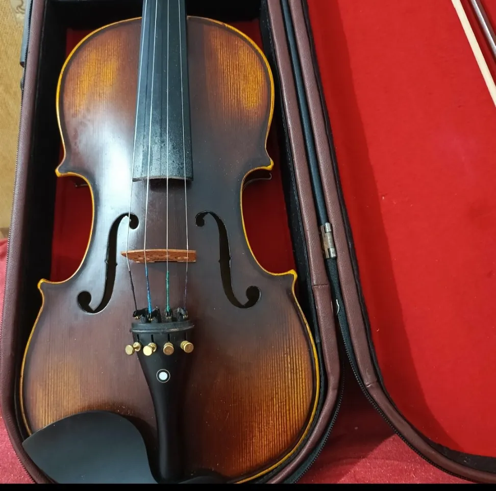 Violon professionnel MEG