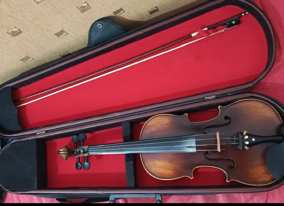 Violon professionnel MEG