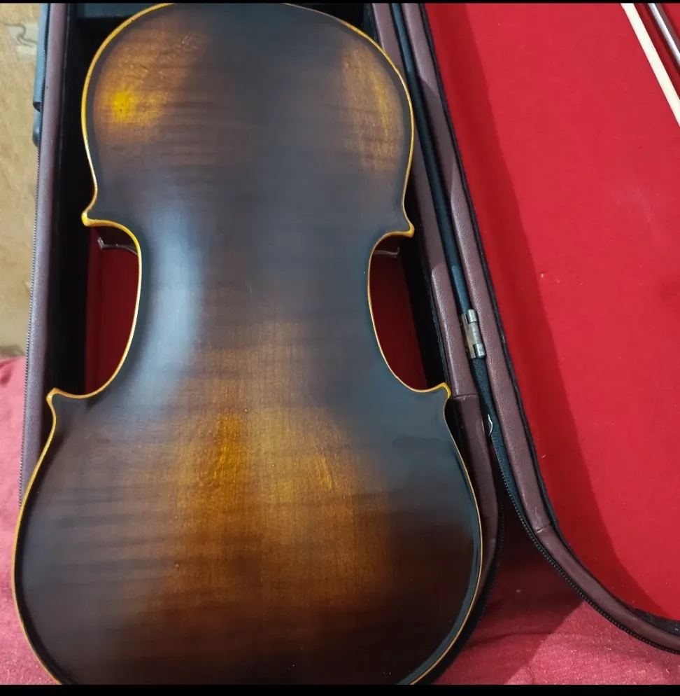 Violon professionnel MEG