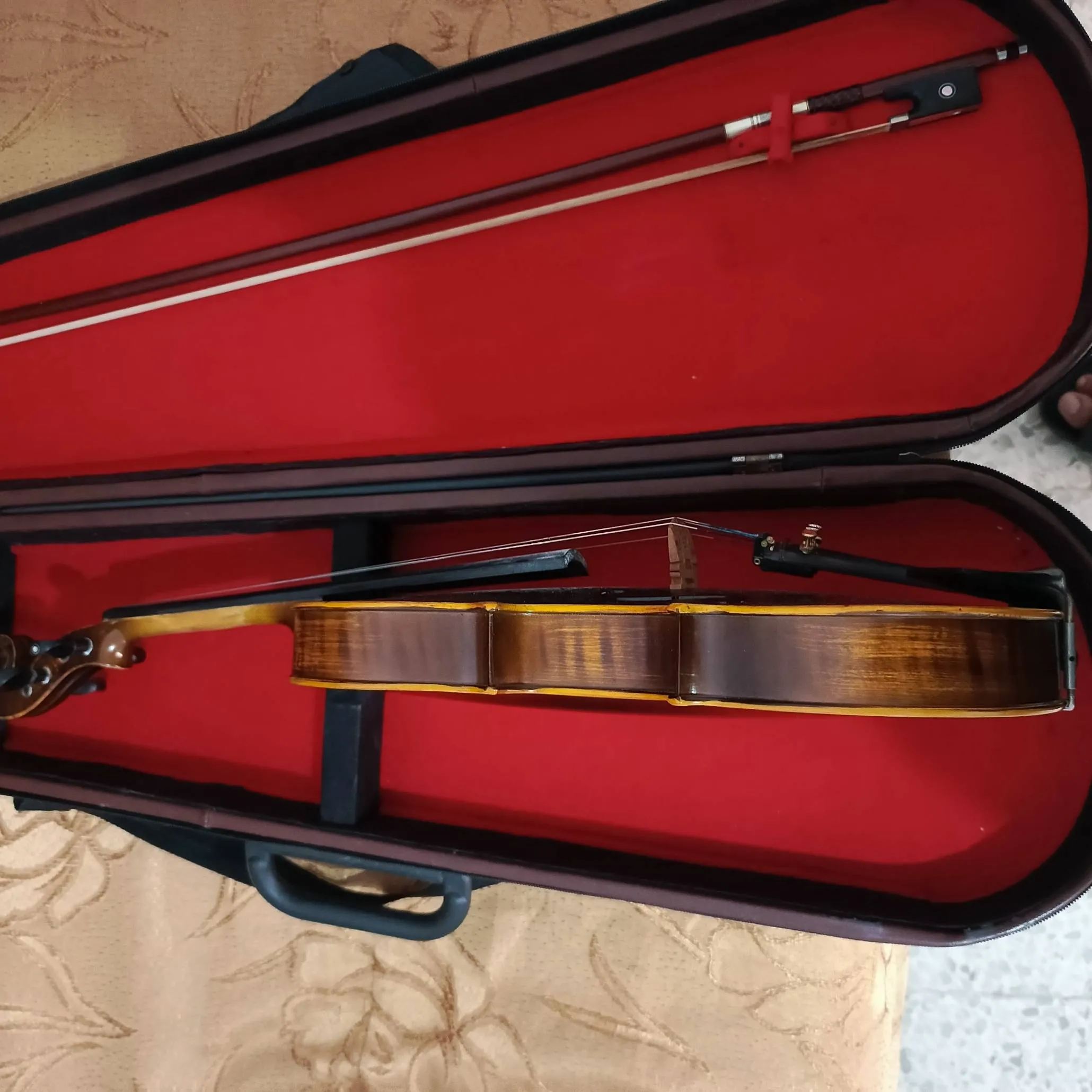 Violon professionnel MEG