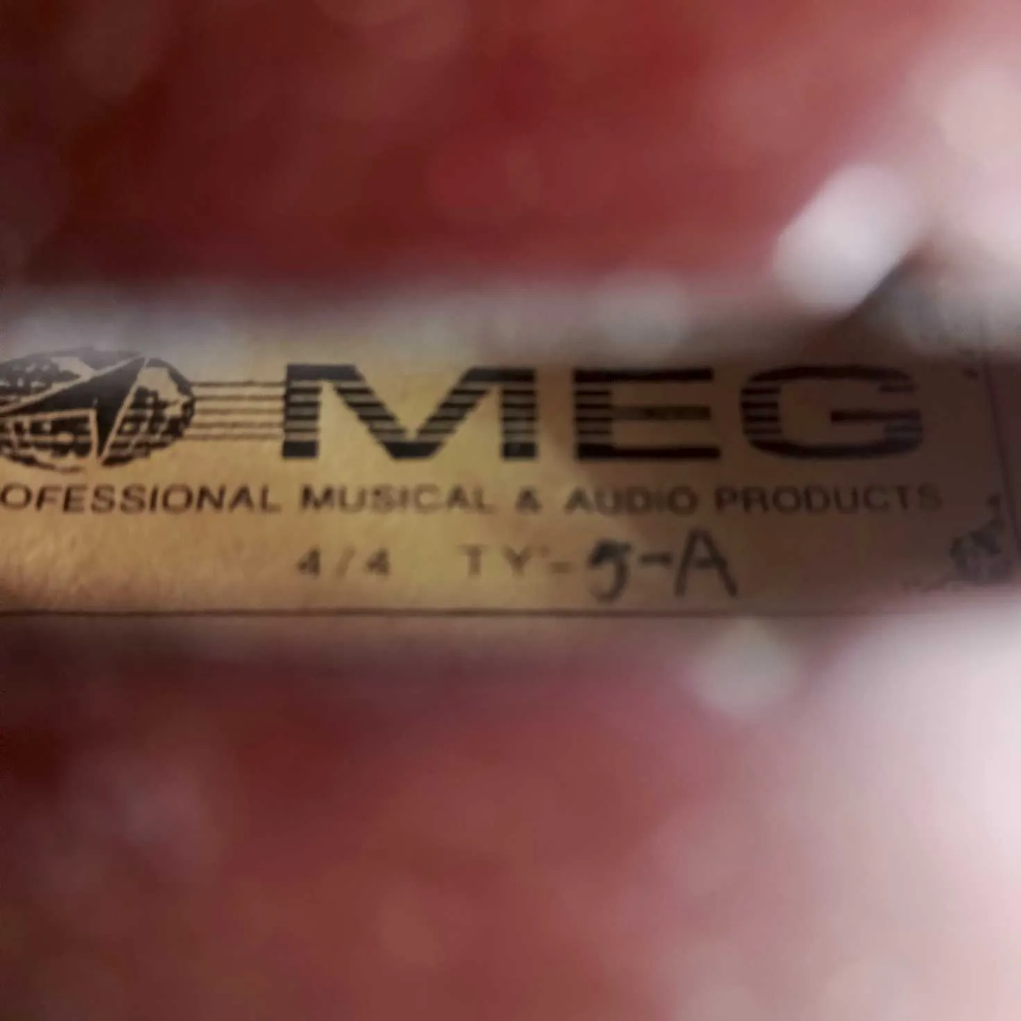 Violon professionnel MEG