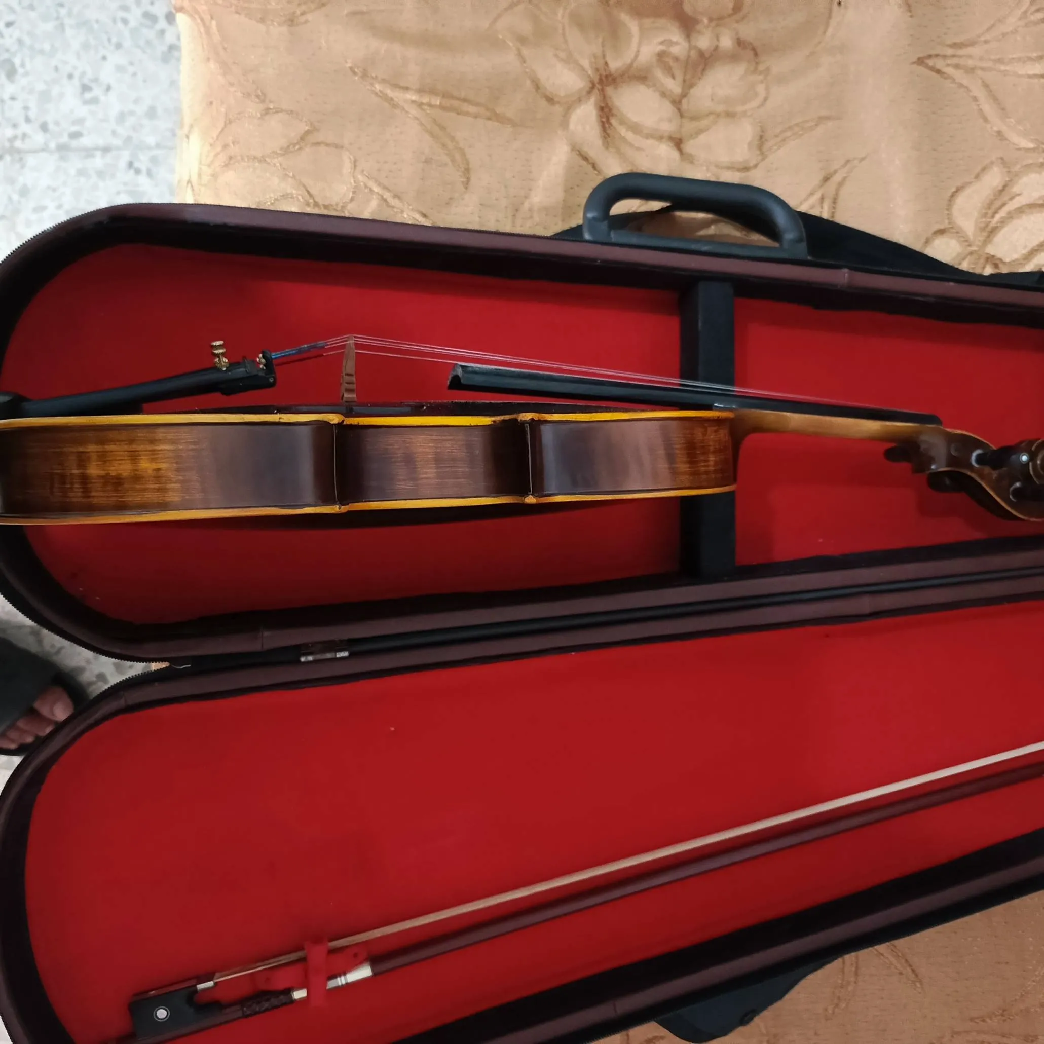 Violon professionnel MEG