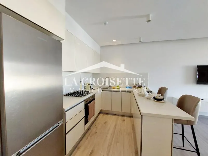 Appartement s1 meublé avec terrasse à La Marsa MAL1971