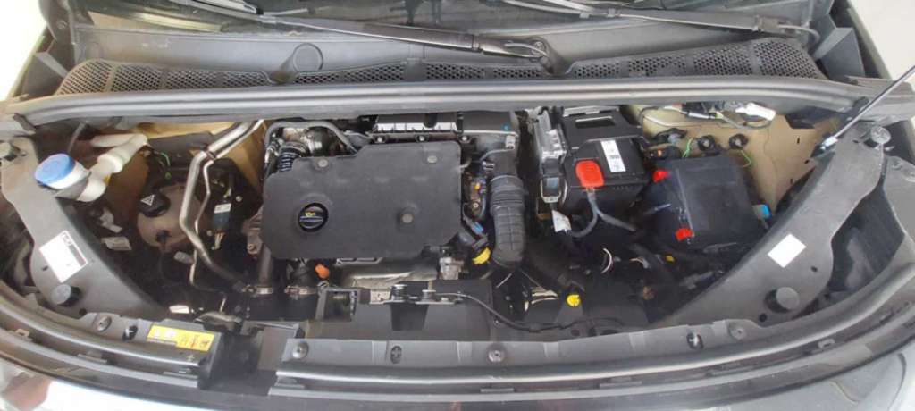 Berlingo K9