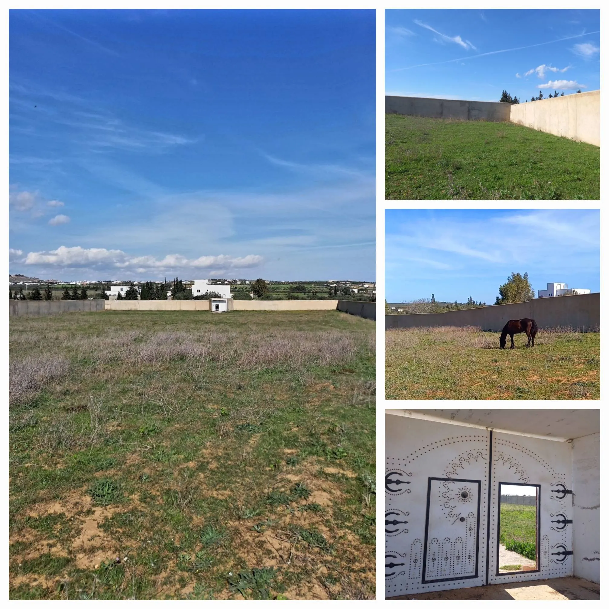 Forfait! Forsa! PRIX EXTRÊMEMENT NÉGOCIABLE TERRAIN ENTIÈREMENT CLÔTURÉ À HAMMAMET DE 8200M²