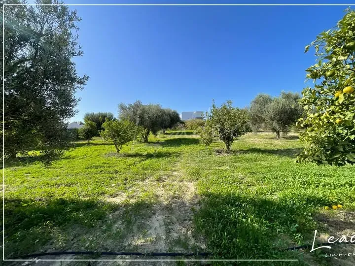  𝐓𝐞𝐫𝐫𝐚𝐢𝐧 𝐚̀ 𝐕𝐞𝐧𝐝𝐫𝐞 – 𝐇𝐚𝐦𝐦𝐚𝐦𝐞𝐭 Superficie totale : 1400 m² 