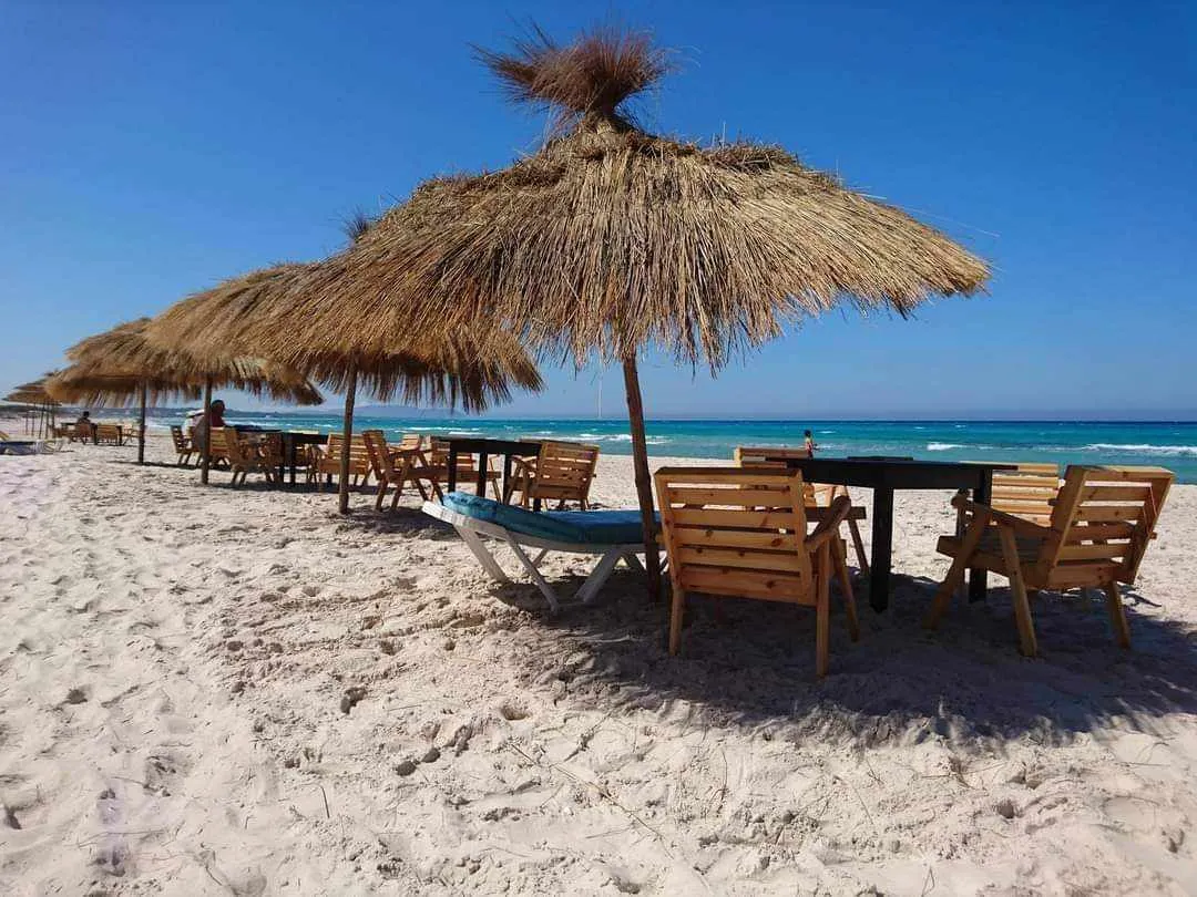 occasion de 1 hectare au cap bon 