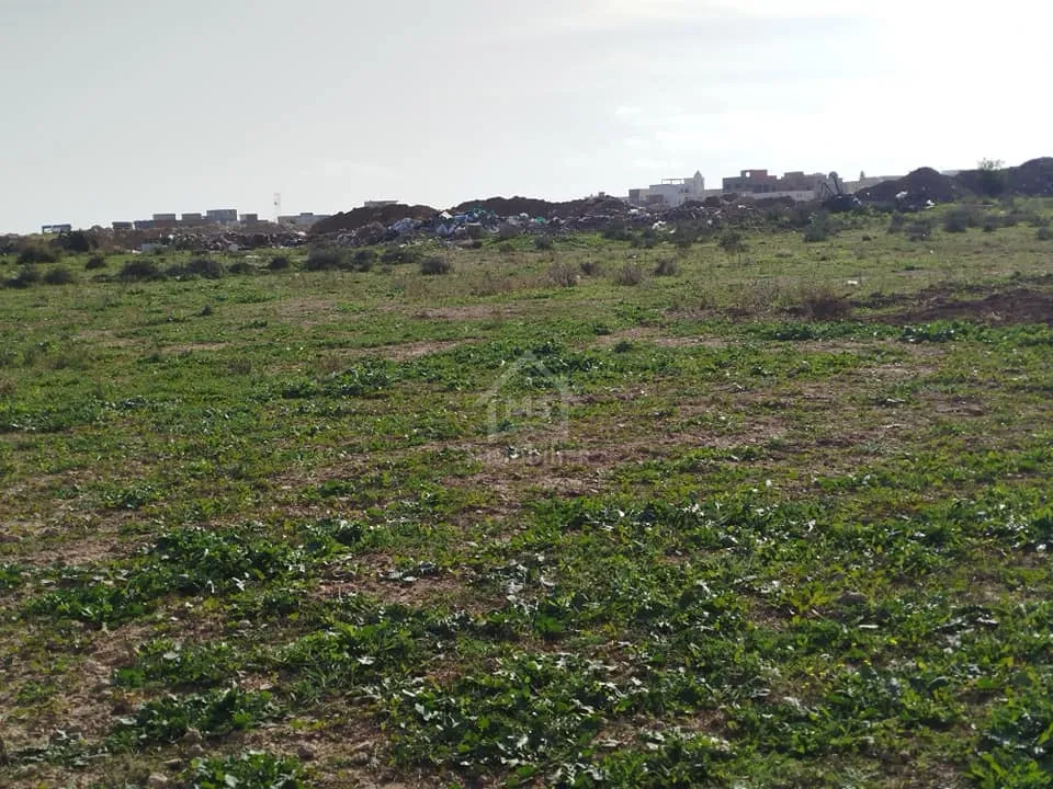 Un terrain de 669 m² à Maamoura à vendre 51355351