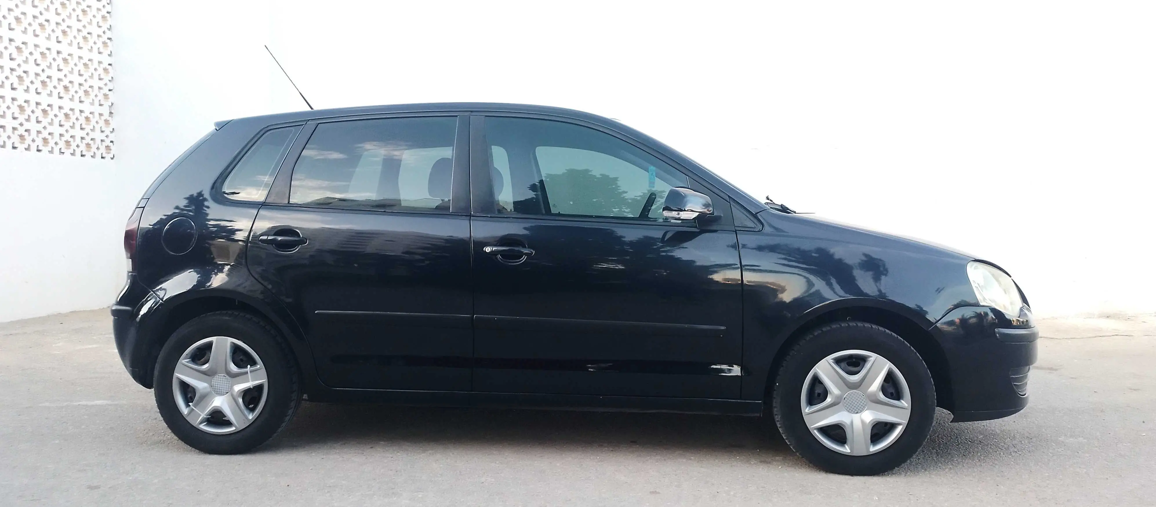 Polo 6