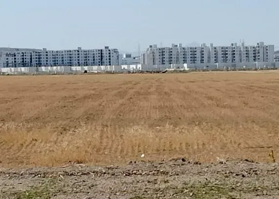 el fejja # Terrain habitation # occasion 2026