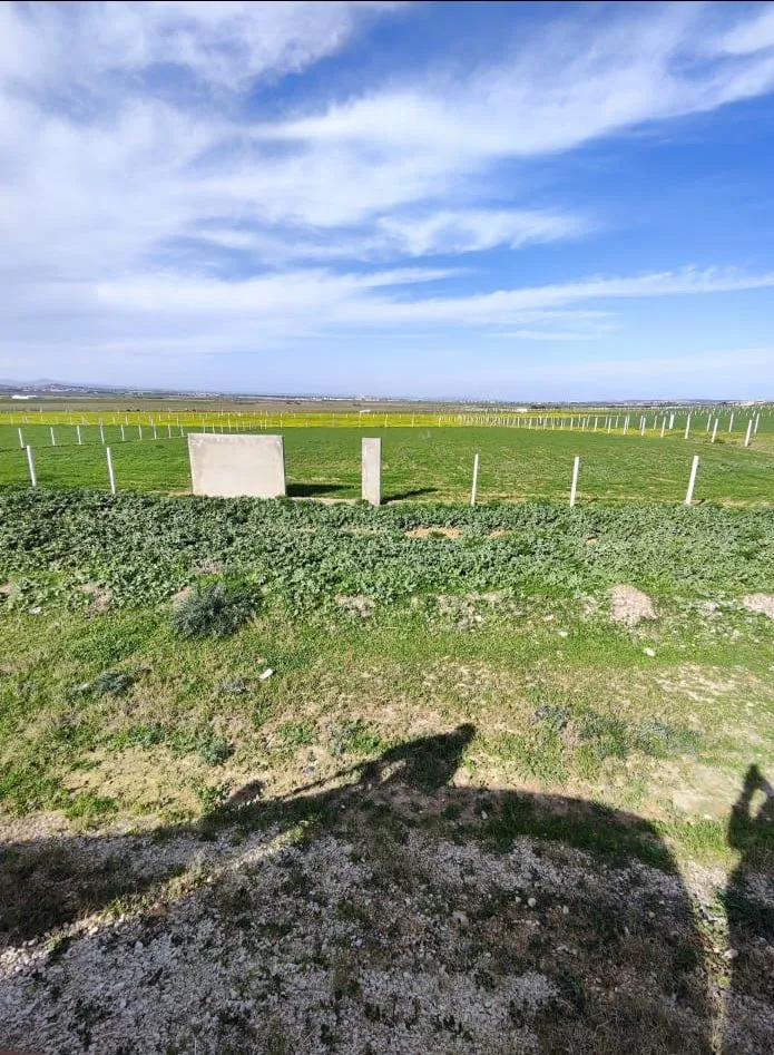 el fejja # Terrain habitation # occasion 2026