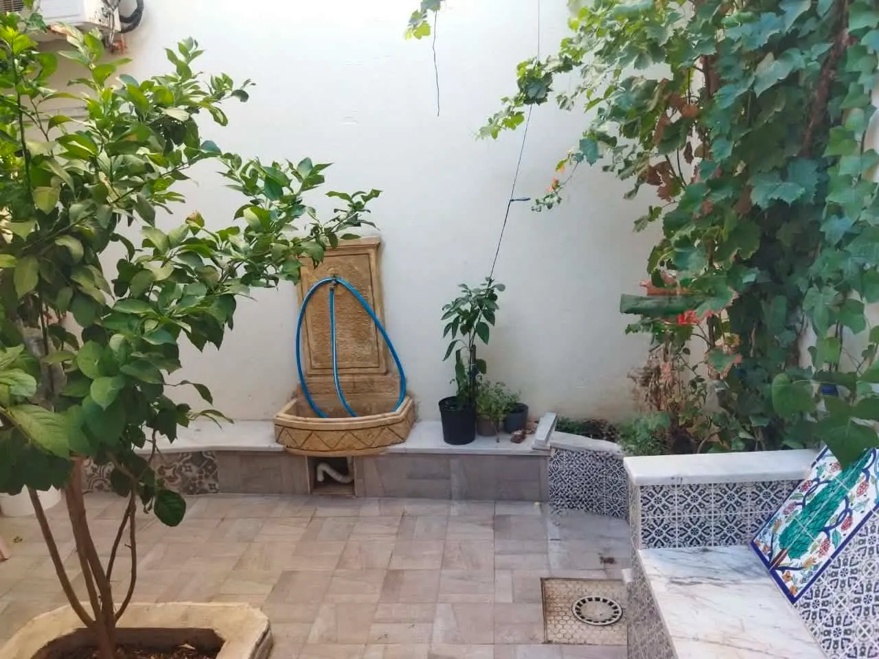 🔴⚫️ À VENDRE – MAISON AUX JARDINS D’EL MENZAH