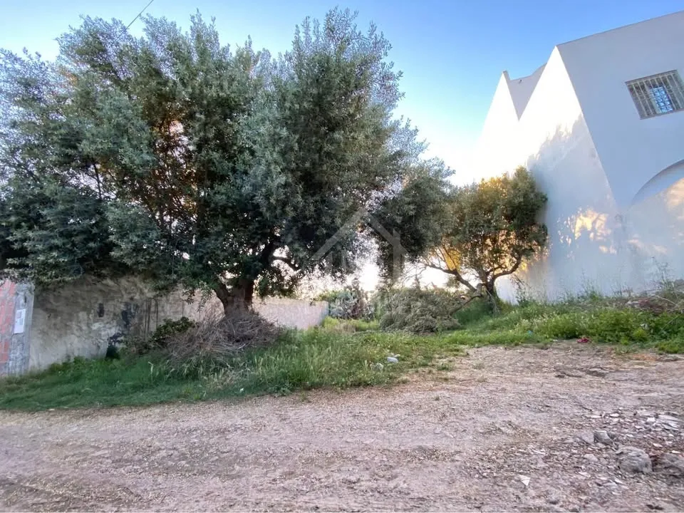 Lot de terrain de 250 m² à Hammamet à vendre 51355351