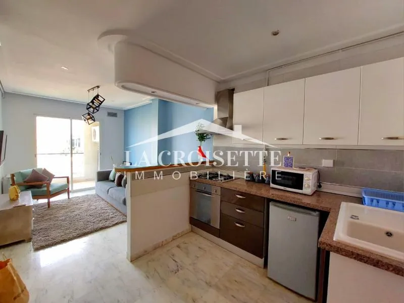 Appartement s1 meublé au Lac2 ZAL1824