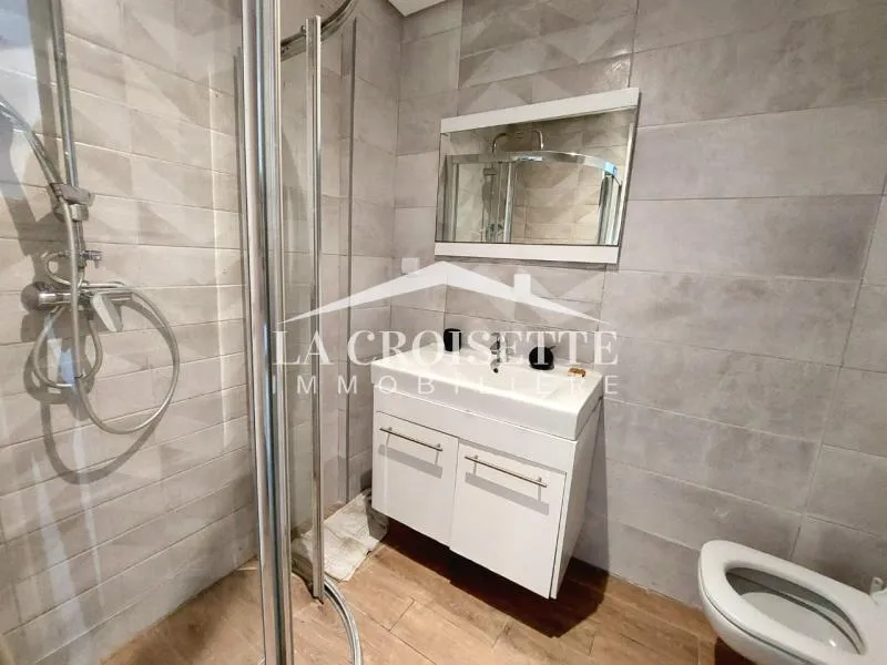 Appartement s1 meublé au Lac2 ZAL1824