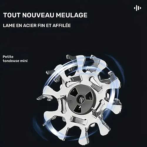 Rasoir électrique portable