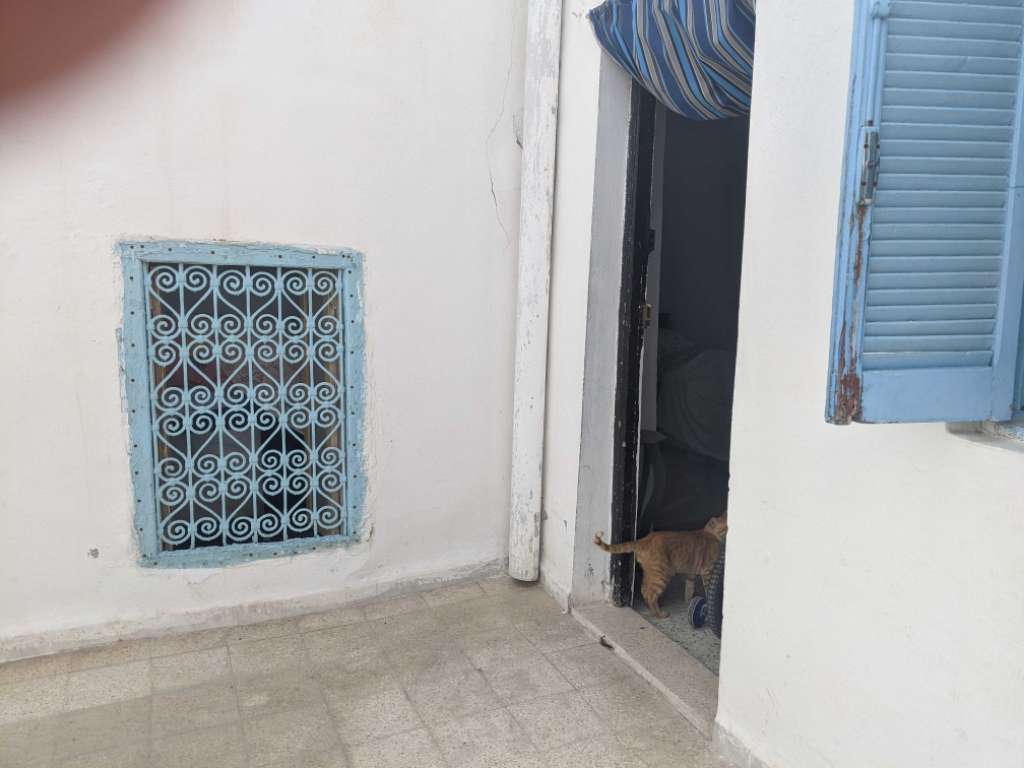 Dar arbi lel bi3