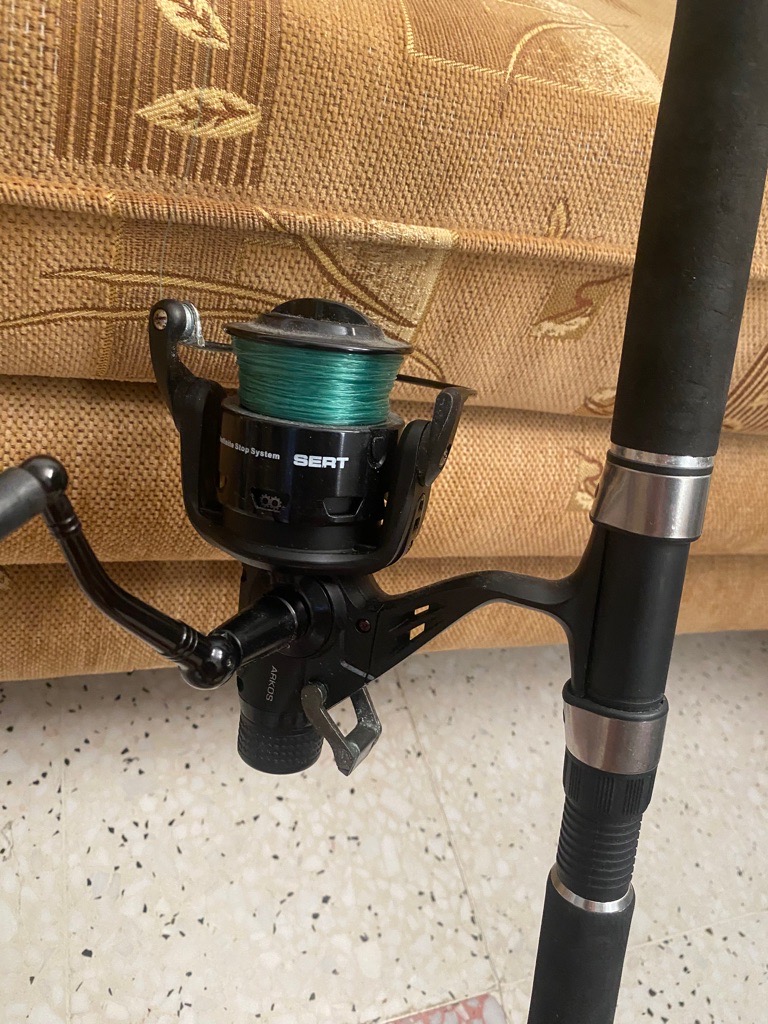 Cane à pêche 