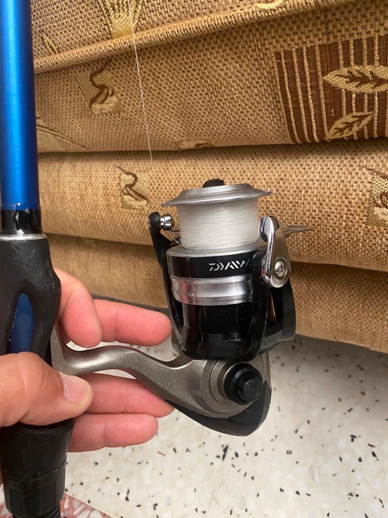 Cane à pêche 