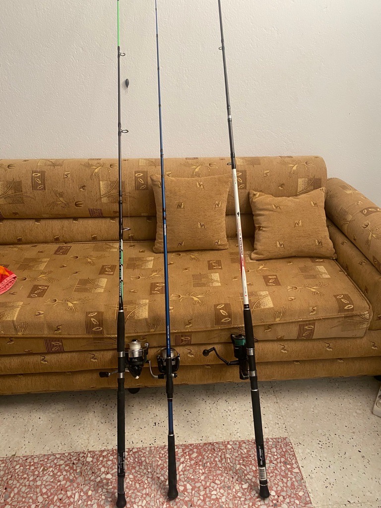 Cane à pêche 