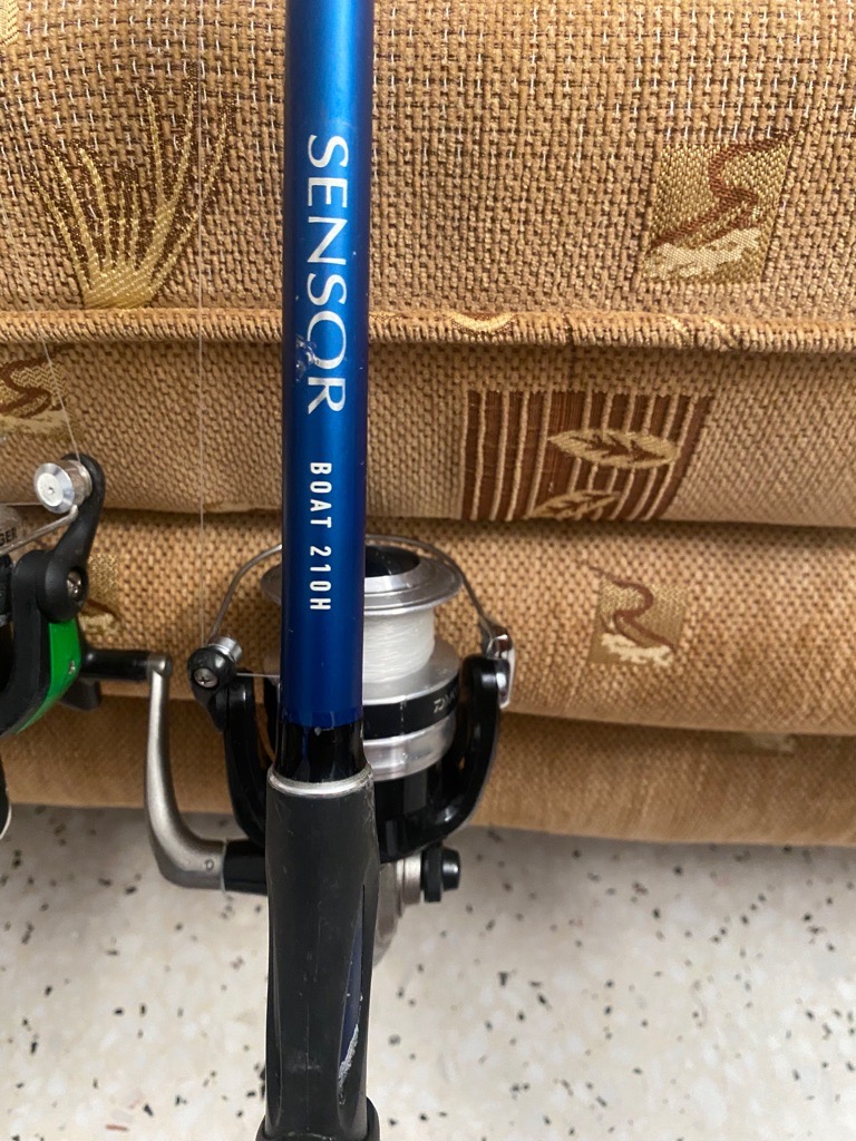 Cane à pêche 
