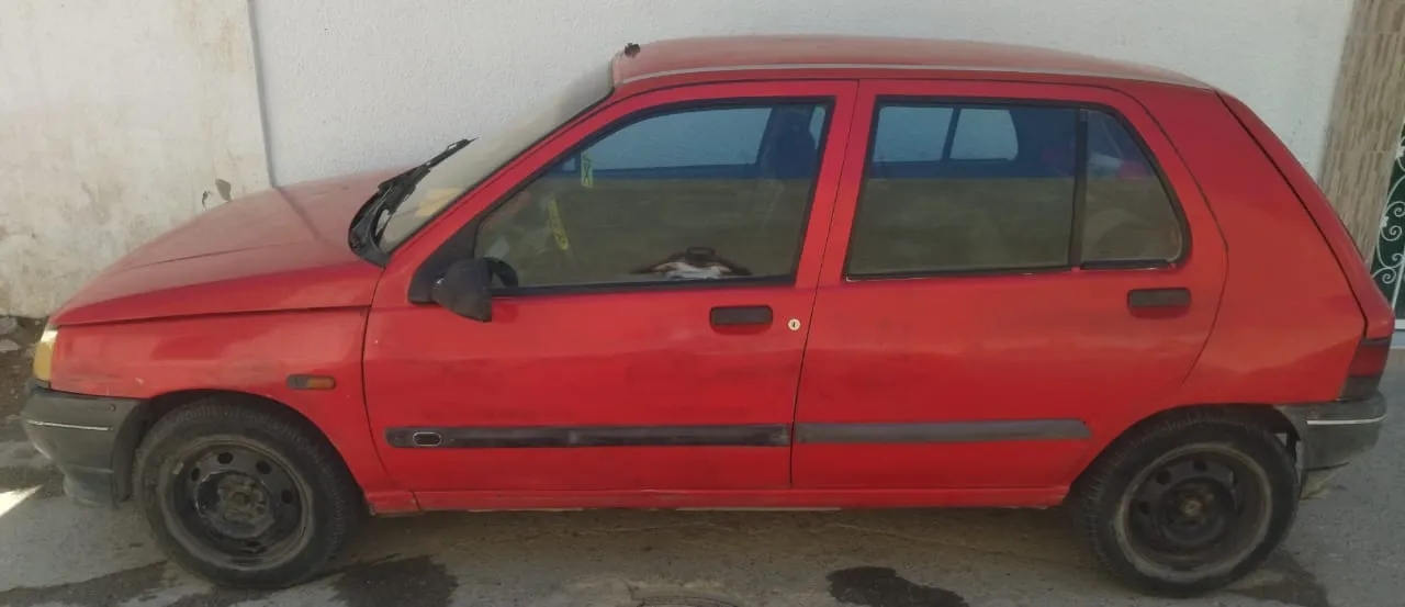 Clio chippe