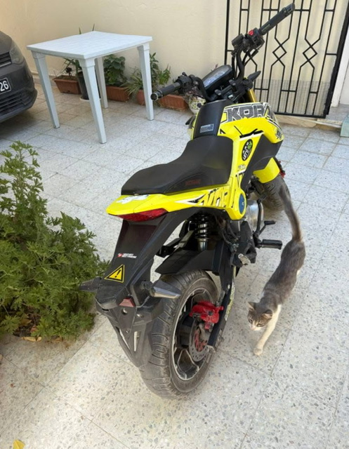 Korak 2024