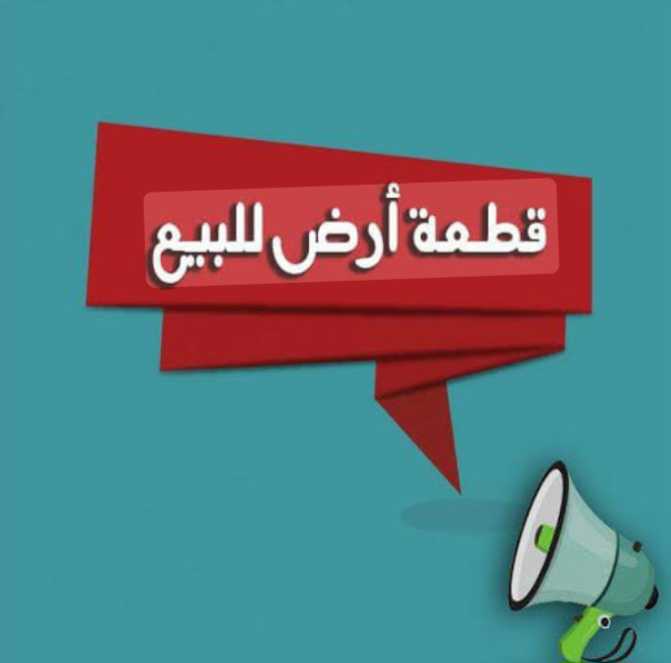 ياسمين الحمامات