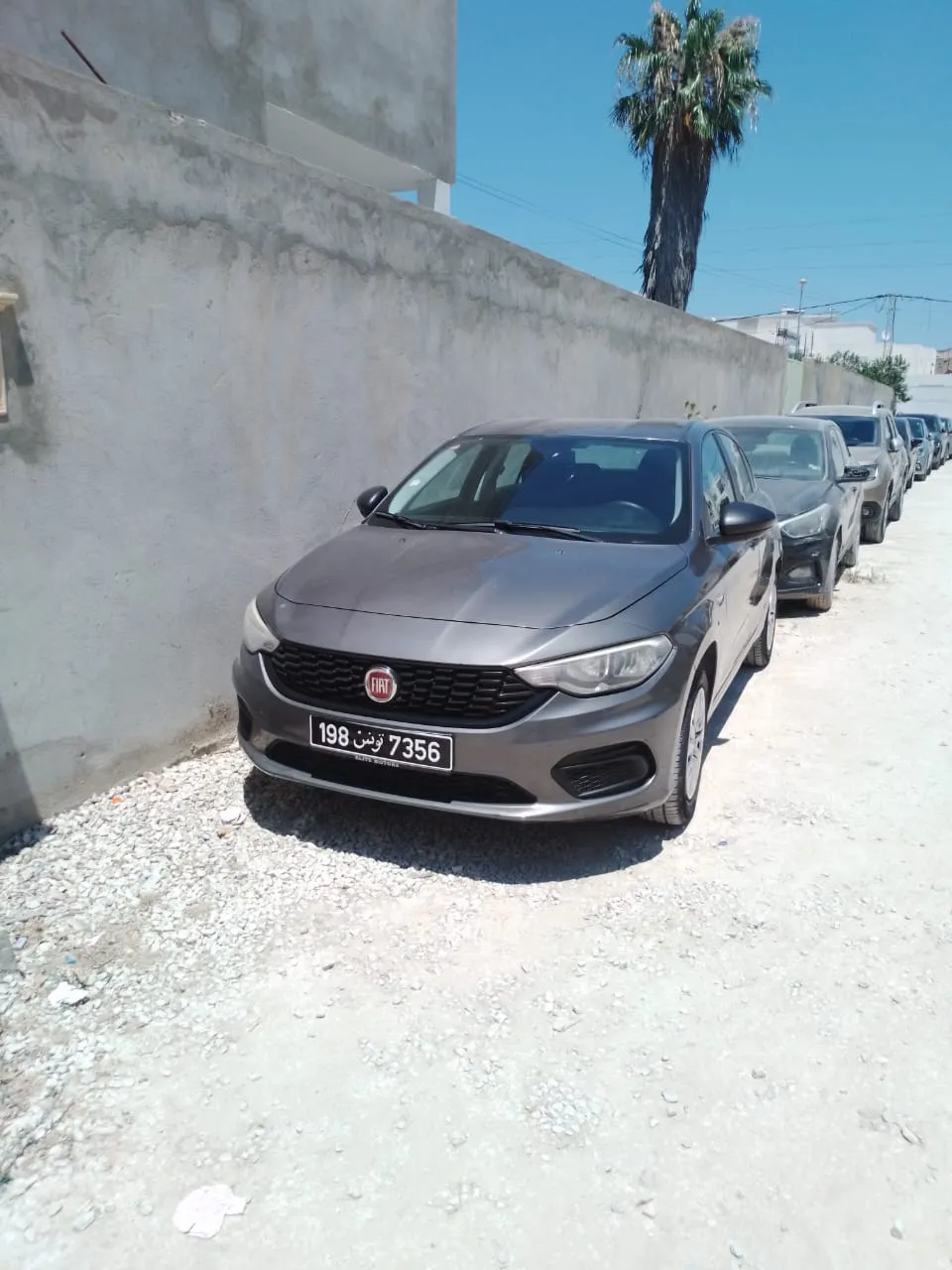 Fiat tipo