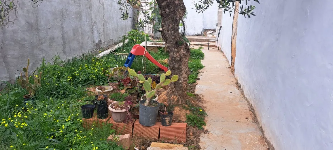 maison arabe a sidi hammed 250 m