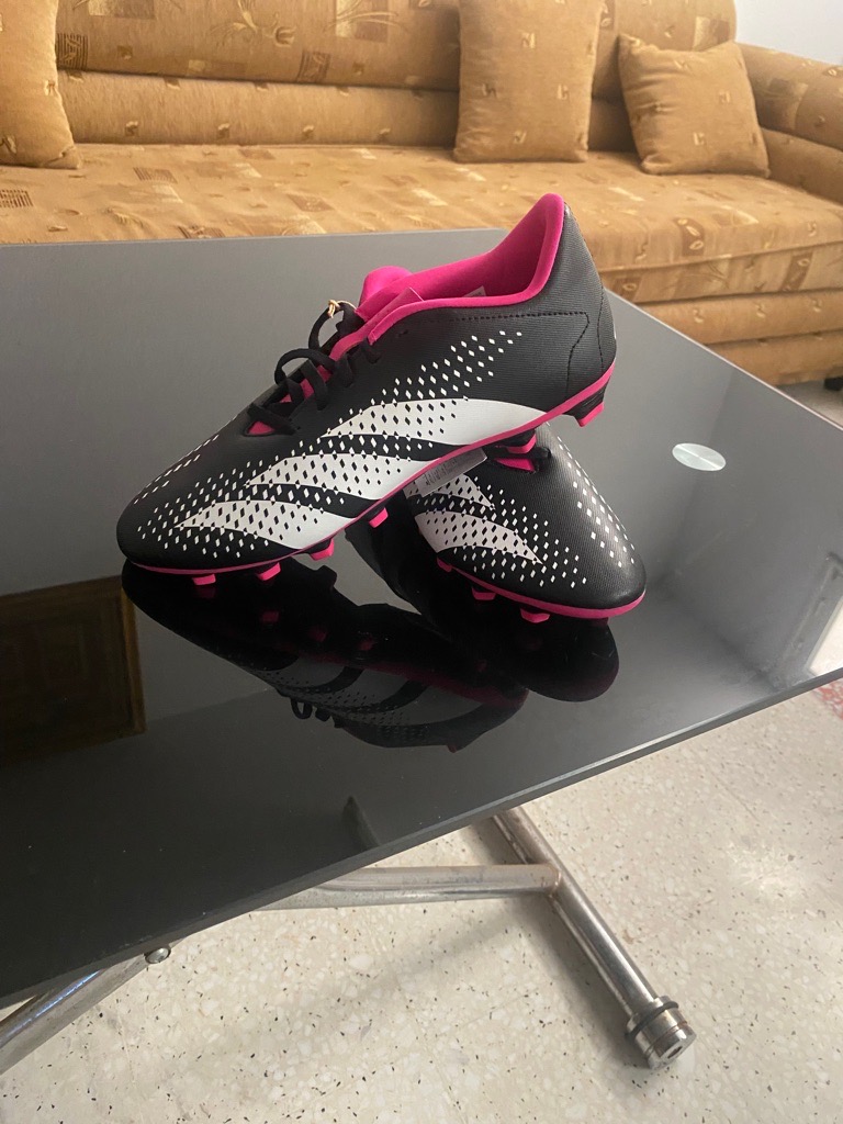 Crampons neuf 