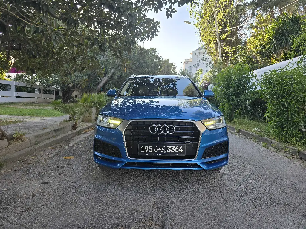 Audi Q3 Sline toute options model 2018