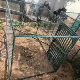 قفص دجاج
