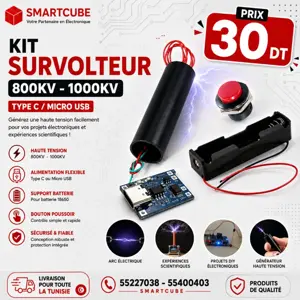 Kit Survolteur Haute Tension 800KV - 1000KV 