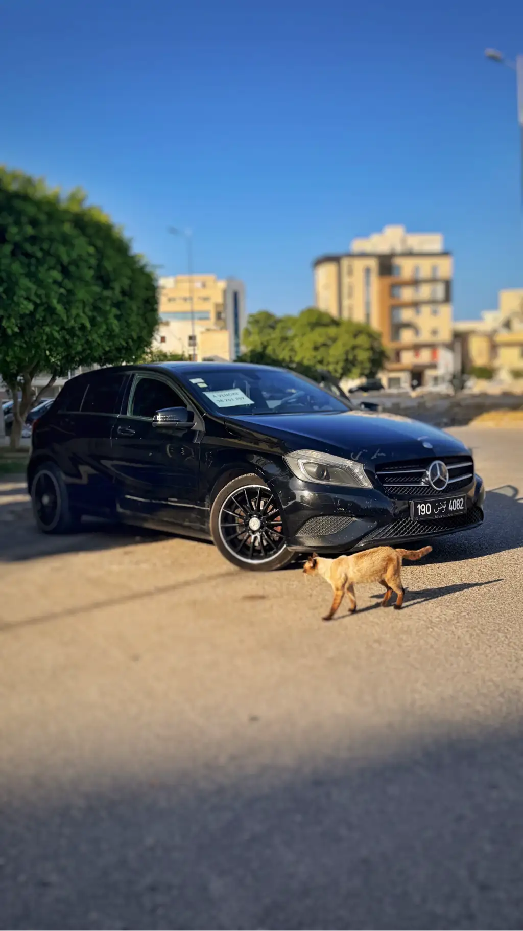 Mercedes Benz Class A w176