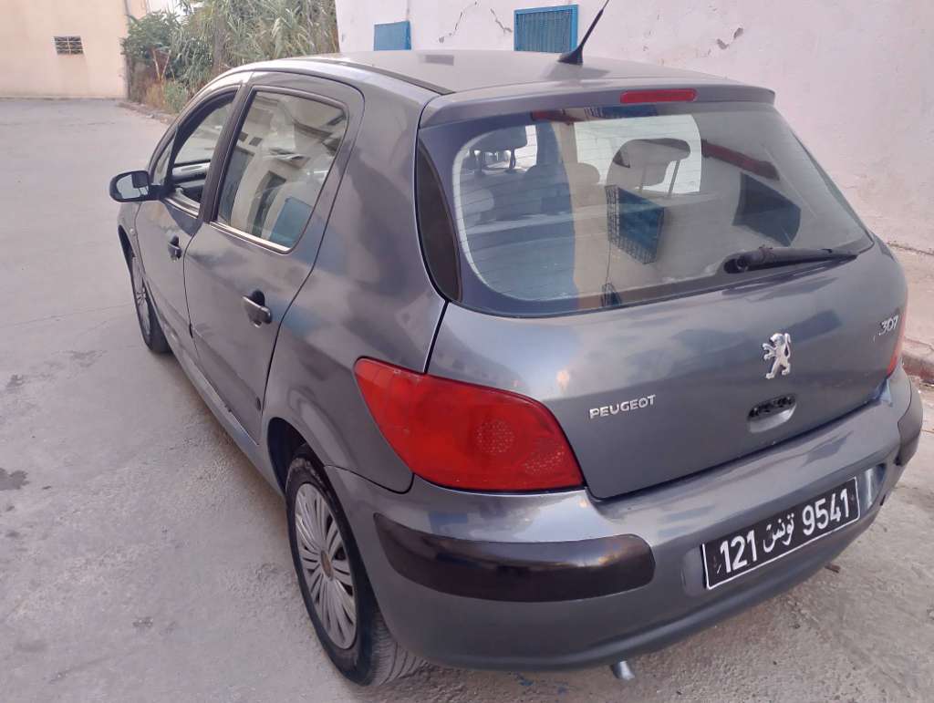 Peugeot 307 essence