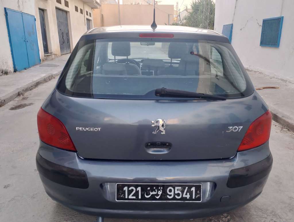 Peugeot 307 essence