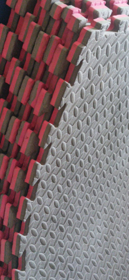 10 Tapis titami 2,6cm
