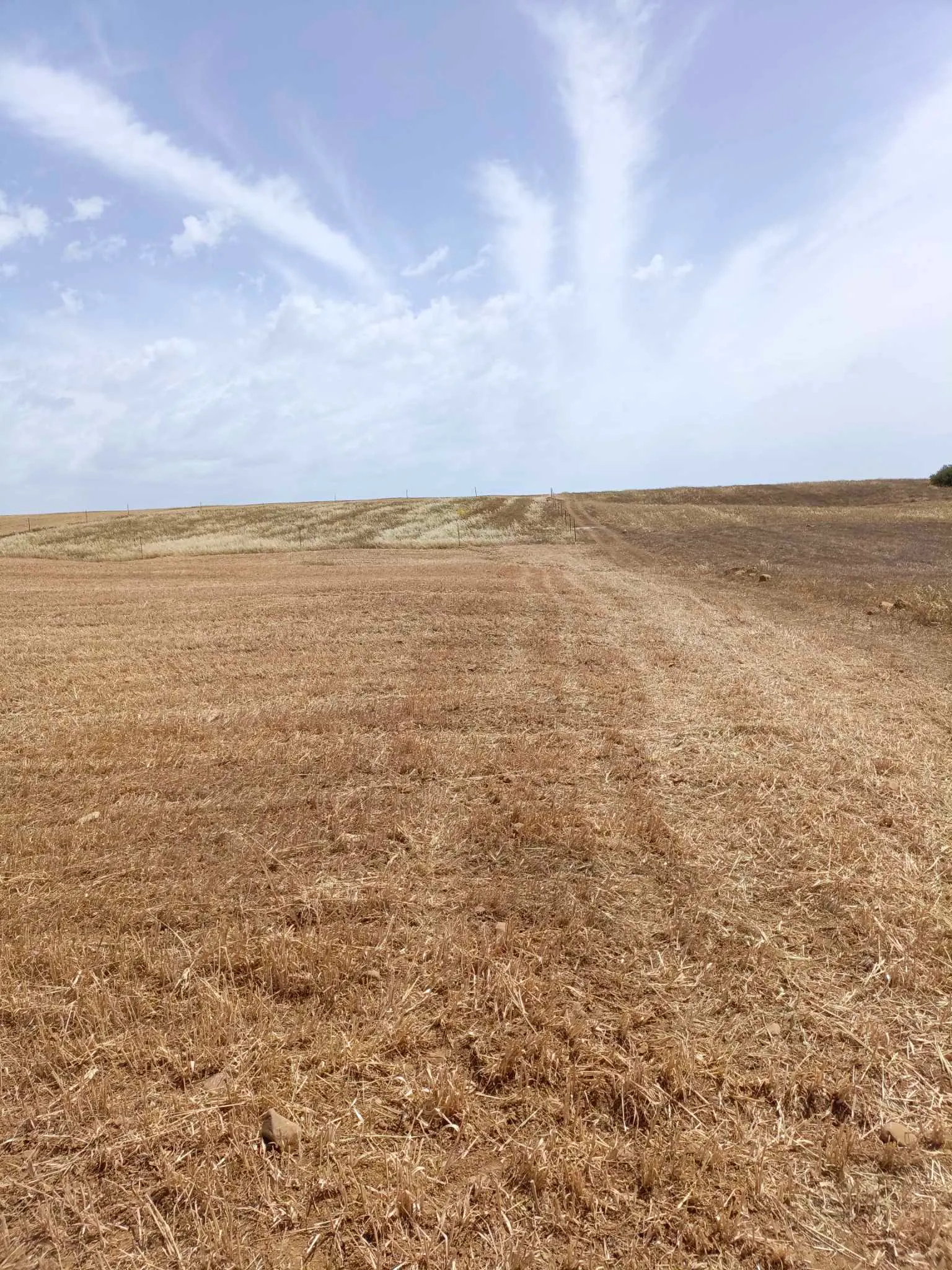 AV terrain de 4900m à hammamet sud 