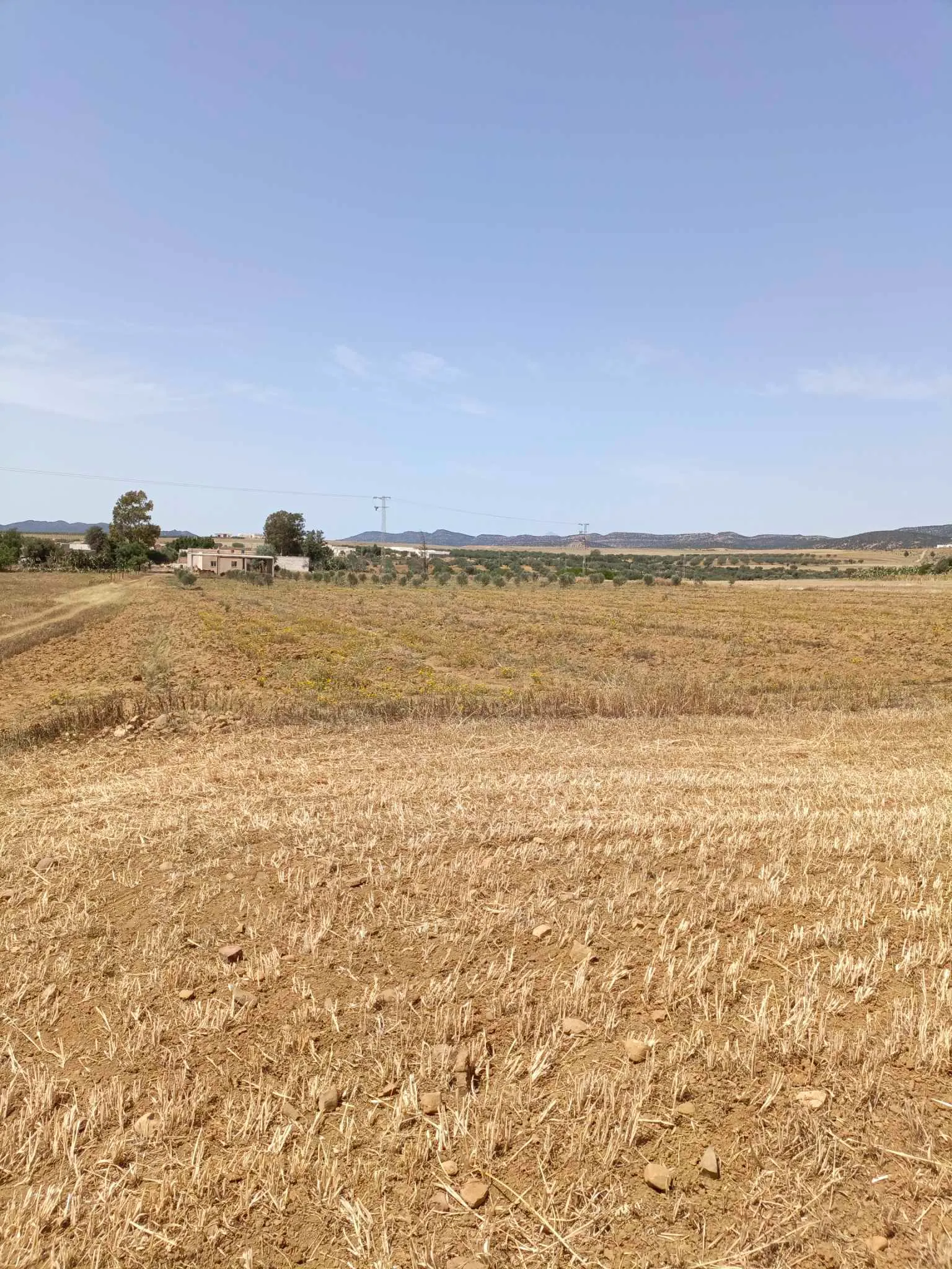 AV terrain de 4900m à hammamet sud 