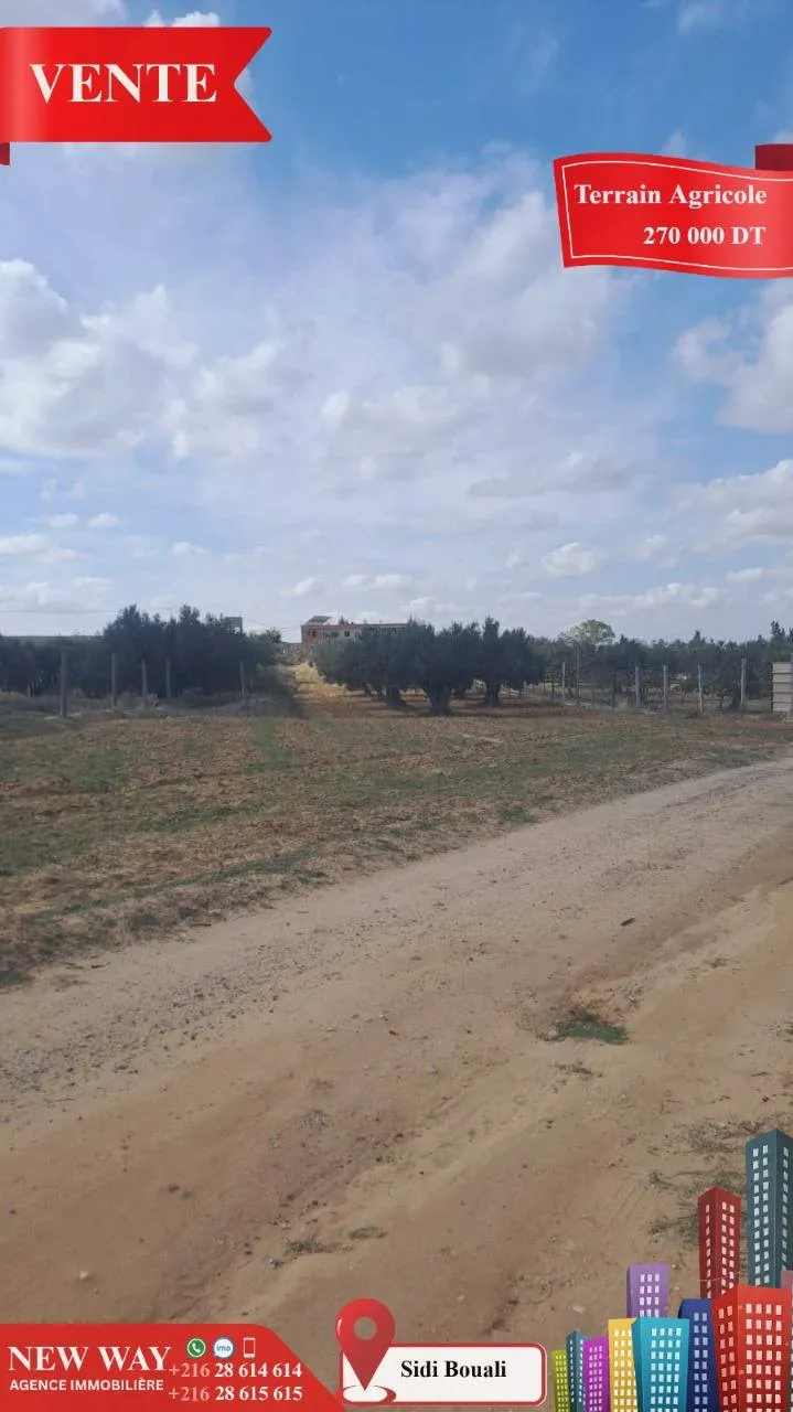 Terrain Agricole à Sidi Bouali près de l'autoroute et GP1