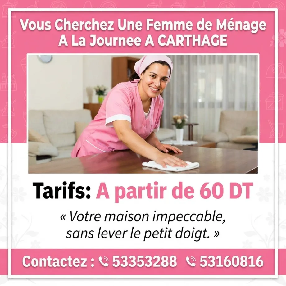 femme de menage par jour a carthage