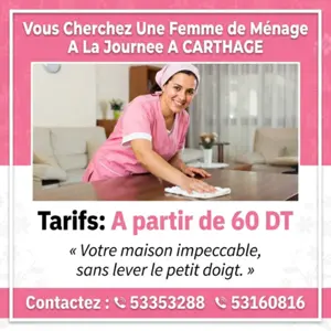 femme de menage par jour a carthage