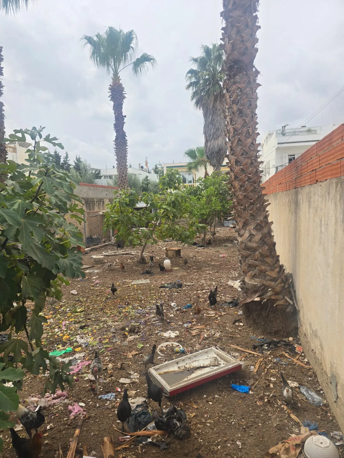 🚧A VENDRE - Terrain Constructible de 245 m² à Kantaoui 
