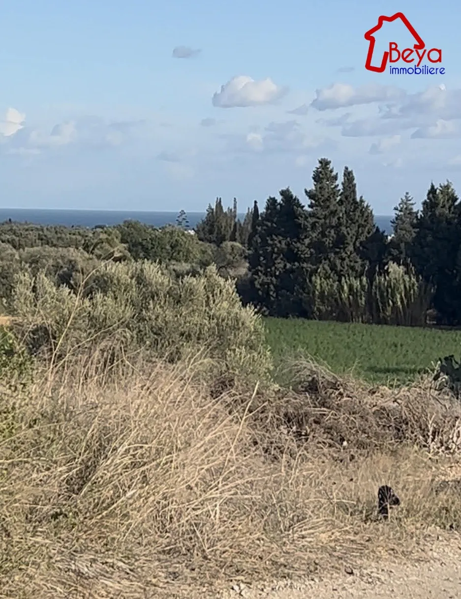 terrain MOUFIDA VTM103