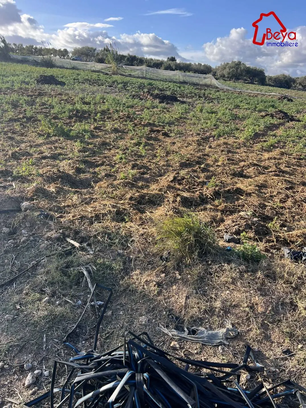 terrain MOUFIDA VTM103