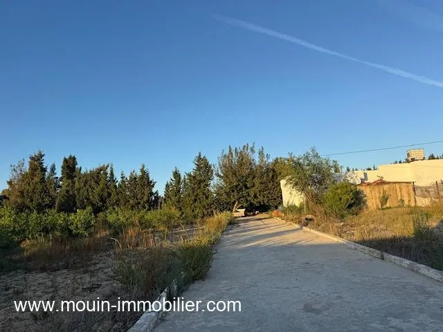 FERME ASIL Borj Hfaiedh Beni Oueil T1206